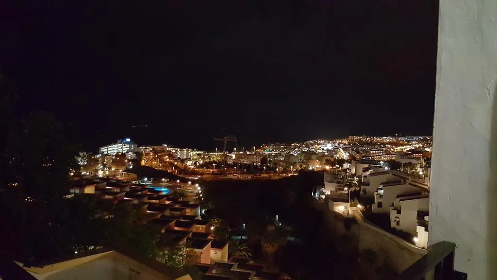 Windsor Park Hotel Playa de las Americas  Playa de las Americas (Tenerife)